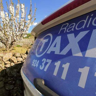 Radio Taxi Mérida logo en taxi